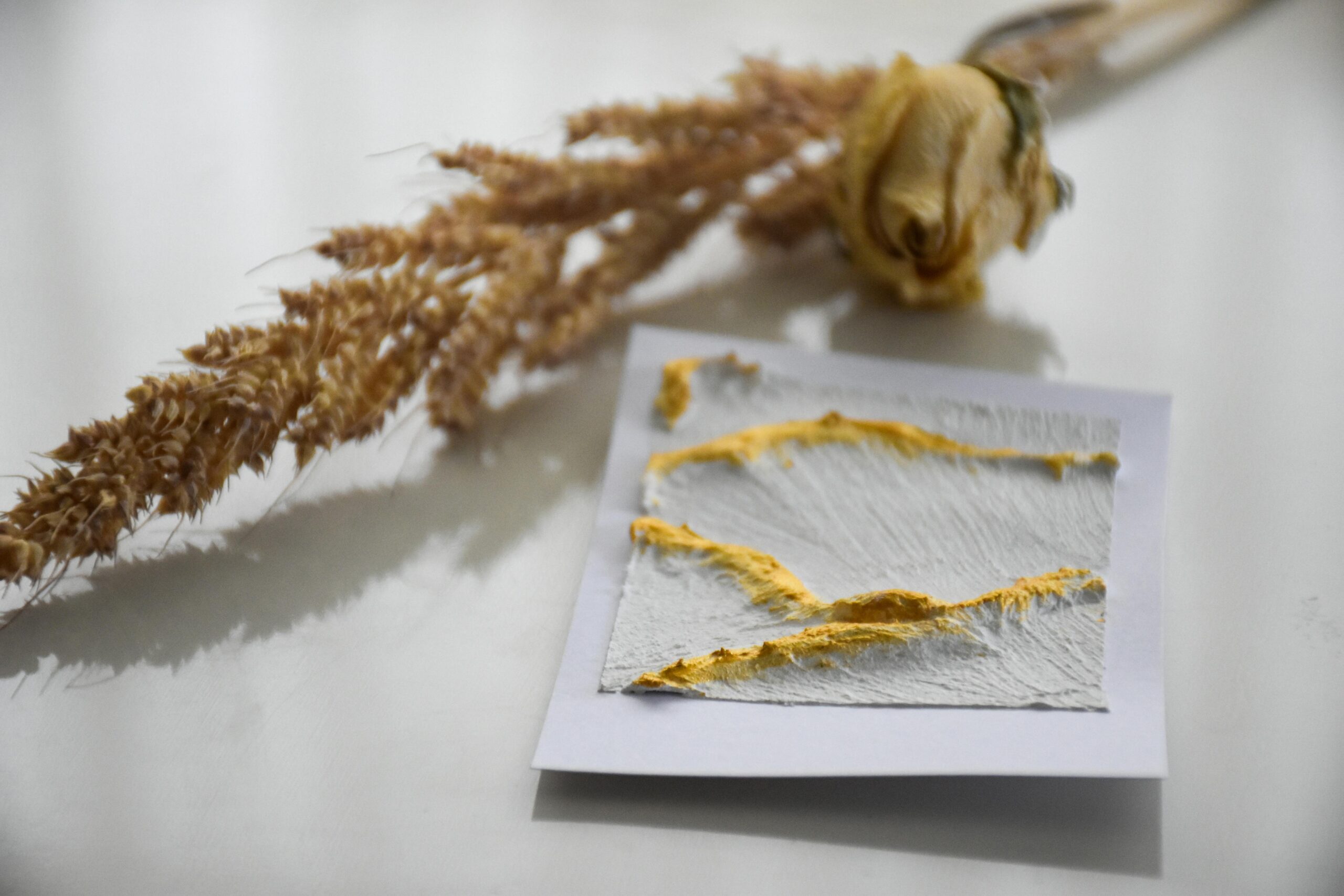 A creative abstract artwork featuring yellow textured paint on paper with dried flowers, perfect for art lovers.